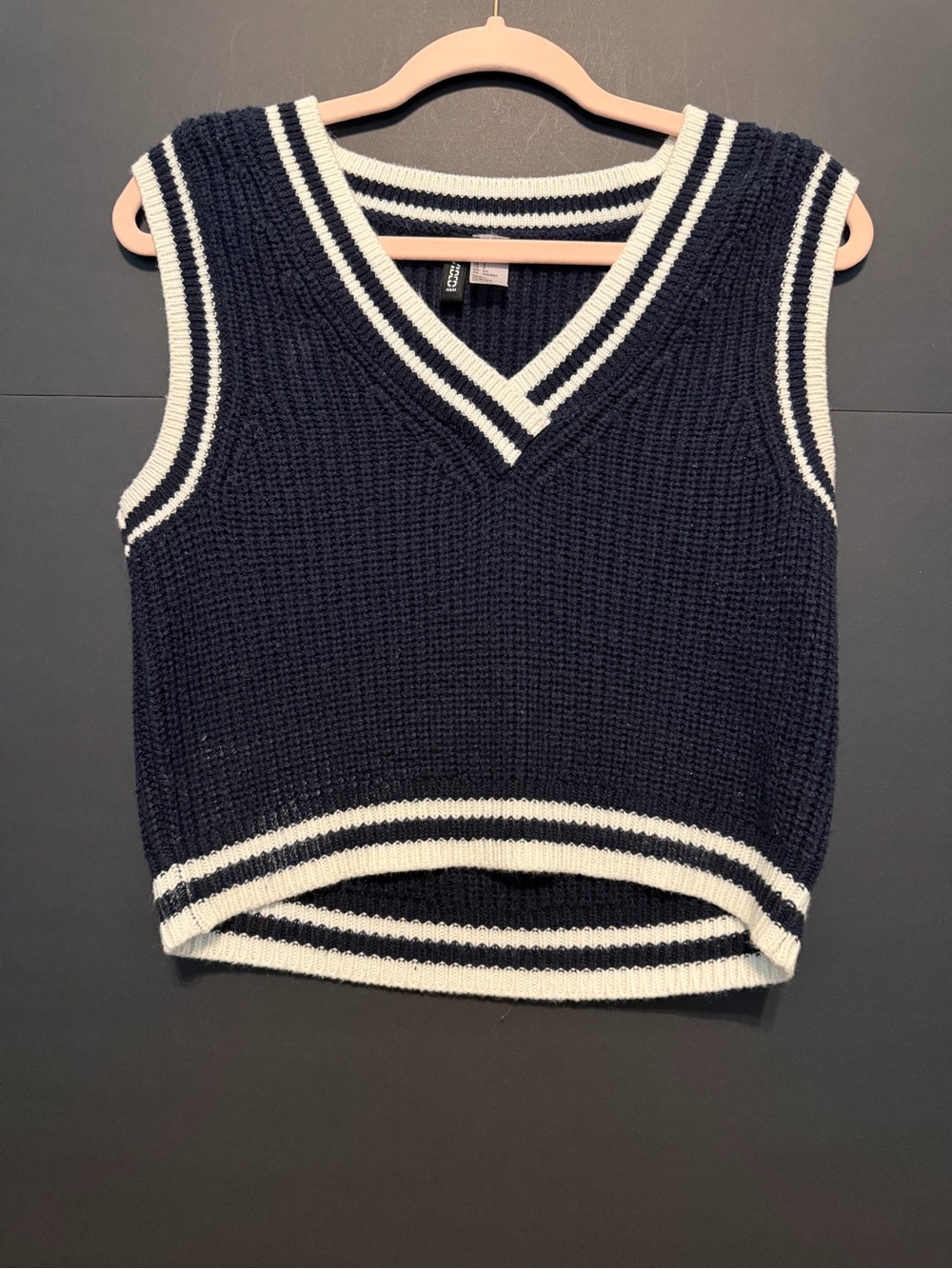 Divided Navy and White Striped Knit Vest